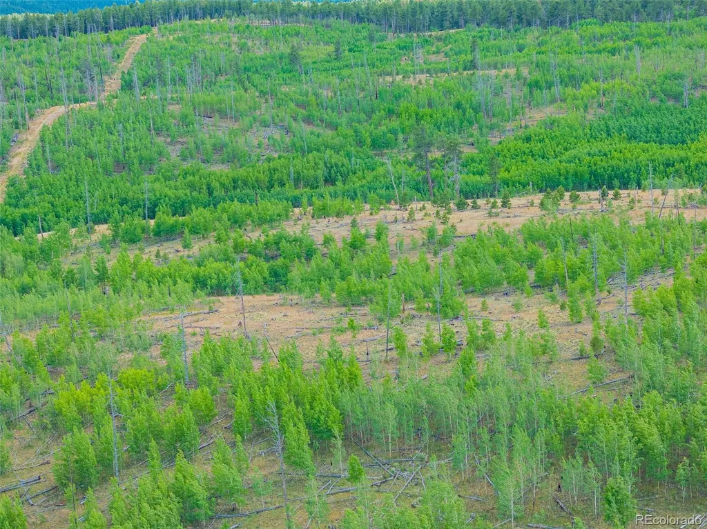 Lot 4 County Road 51 Florissant CO 80816