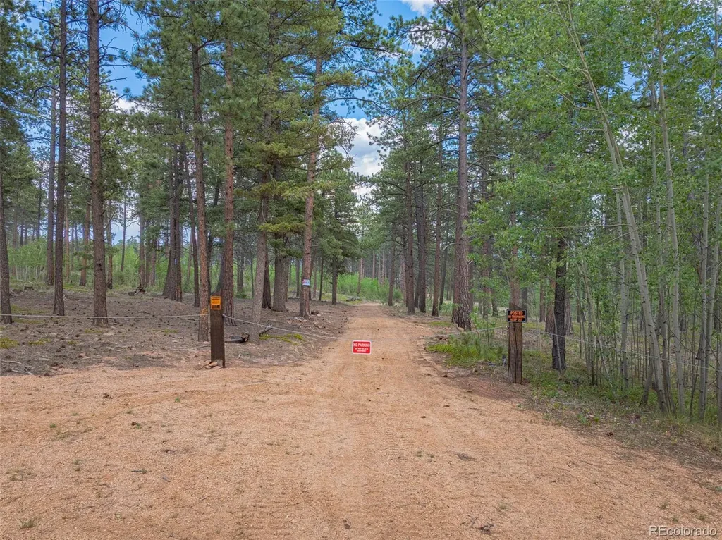 Lot 4 County Road 51 Florissant CO 80816