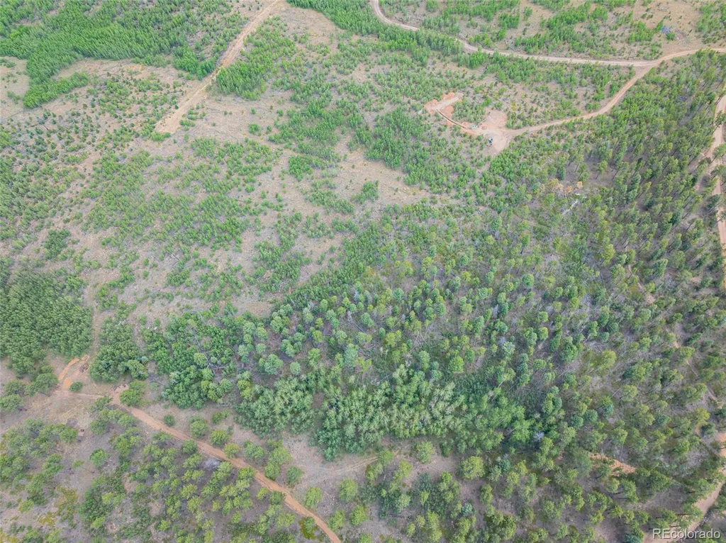 Lot 4 County Road 51 Florissant CO 80816
