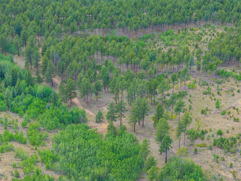 Lot 4 County Road 51 Florissant CO 80816