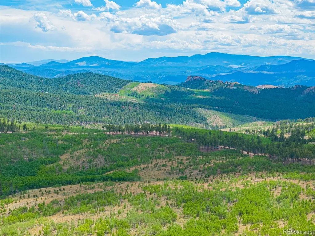 Lot 4 County Road 51 Florissant CO 80816