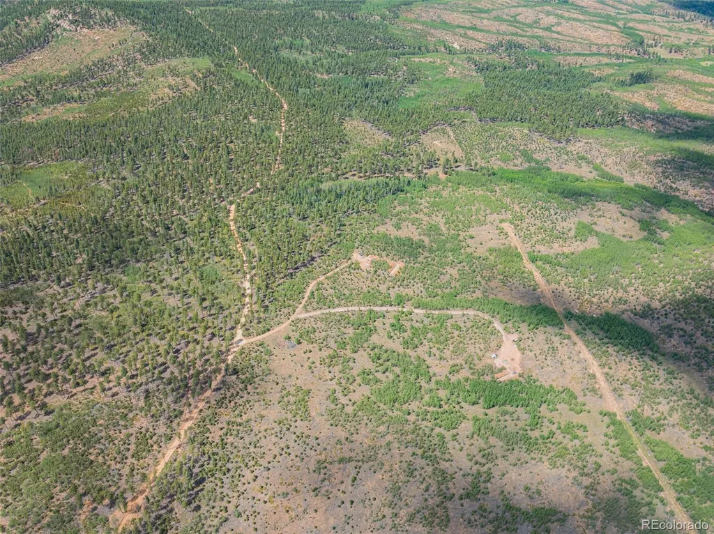 Lot 4 County Road 51 Florissant CO 80816