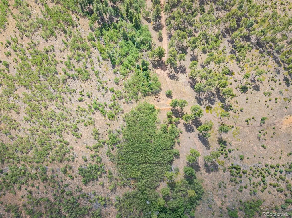 Lot 4 County Road 51 Florissant CO 80816