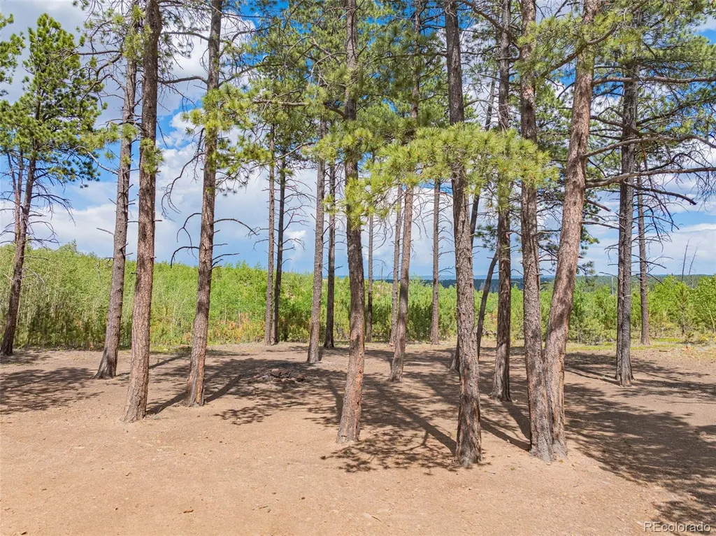 Lot 4 County Road 51 Florissant CO 80816