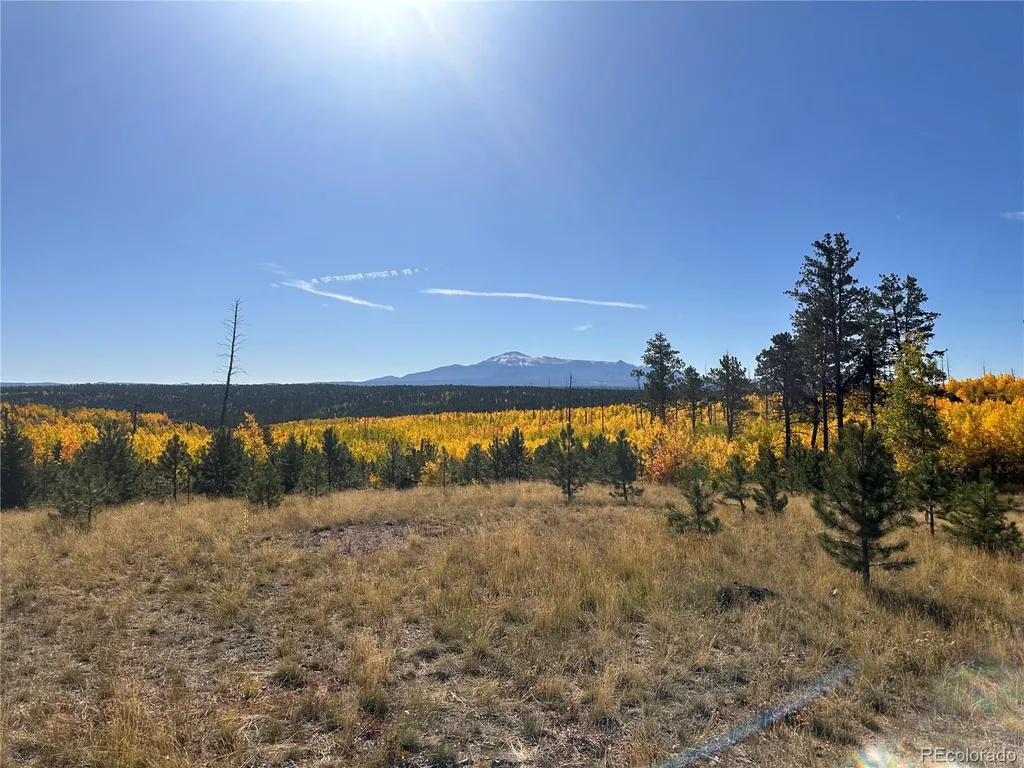 Lot 4 County Road 51 Florissant CO 80816