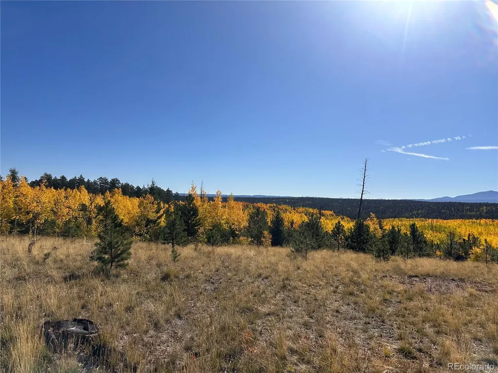 Lot 4 County Road 51 Florissant CO 80816