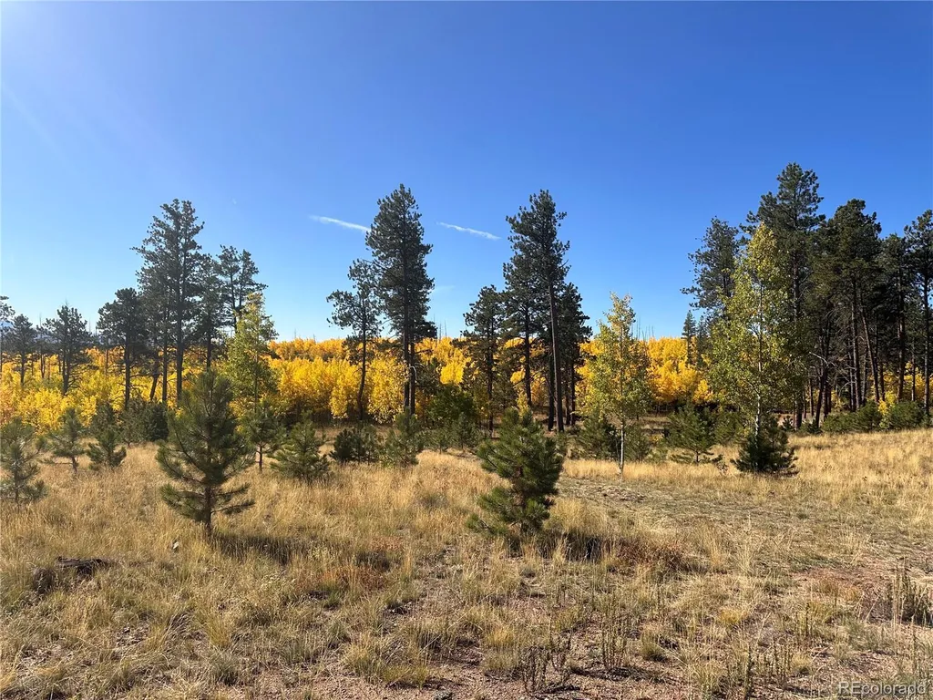 Lot 4 County Road 51 Florissant CO 80816