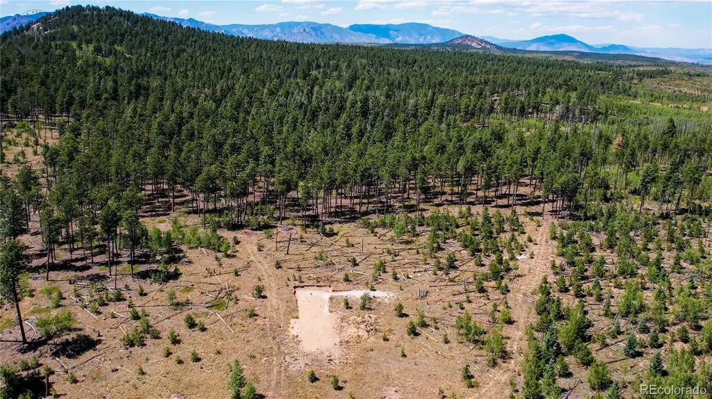 Lot 4 County Road 51 Florissant CO 80816