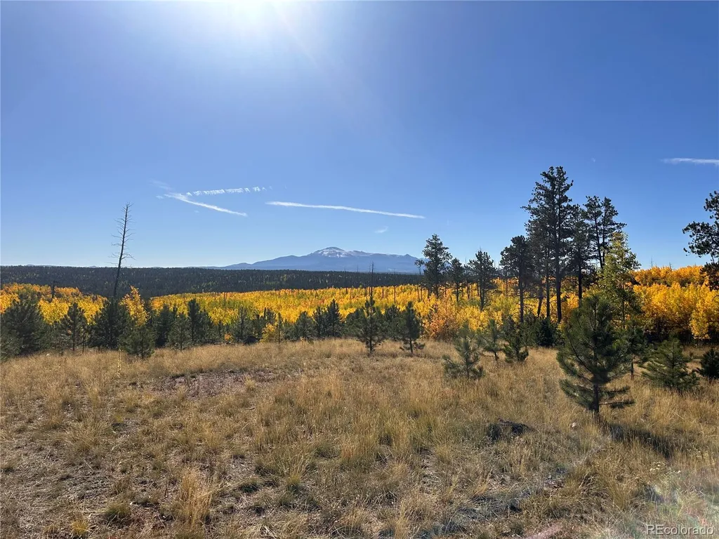 Lot 4 County Road 51 Florissant CO 80816