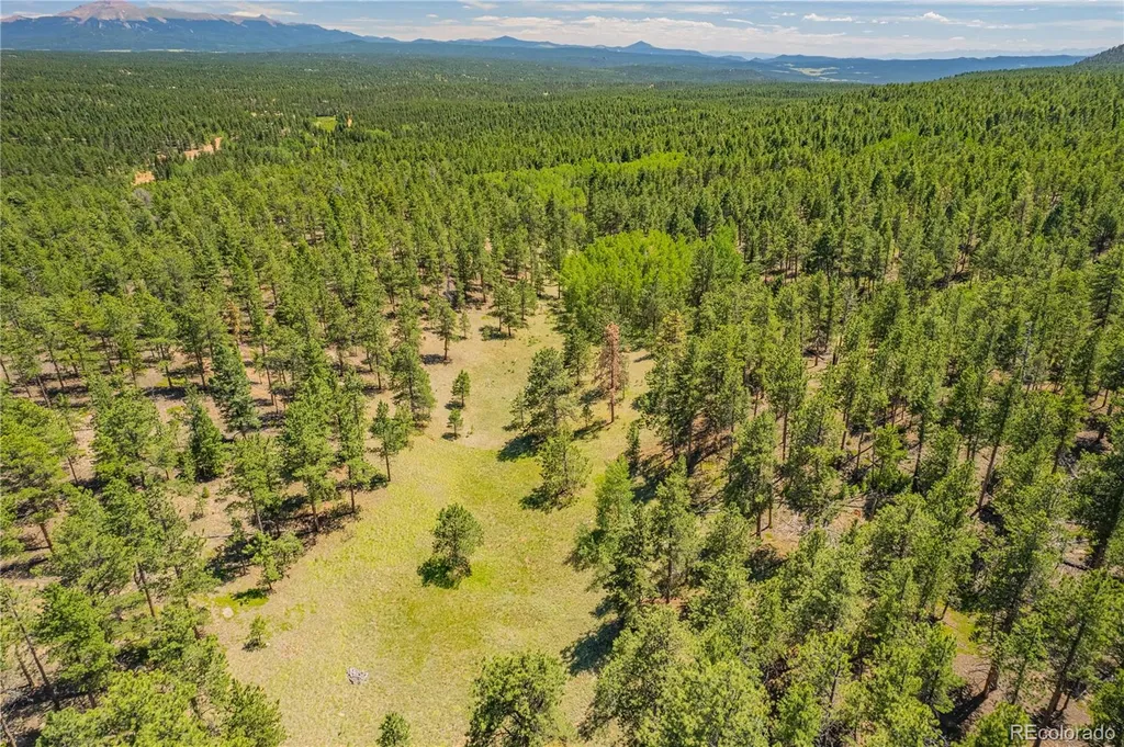 Lot 4 County Road 51 Florissant CO 80816