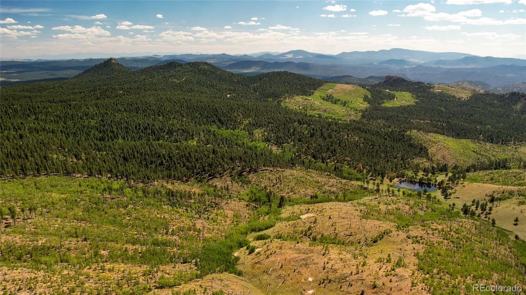 Lot 4 County Road 51 Florissant CO 80816