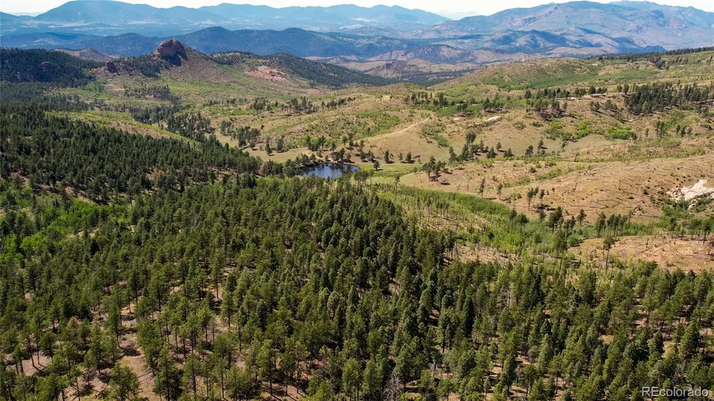 Lot 4 County Road 51 Florissant CO 80816