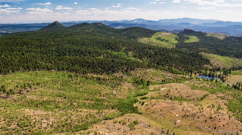 Lot 4 County Road 51 Florissant CO 80816