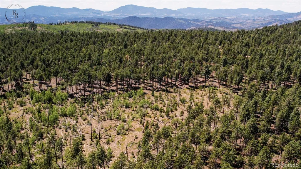 Lot 4 County Road 51 Florissant CO 80816
