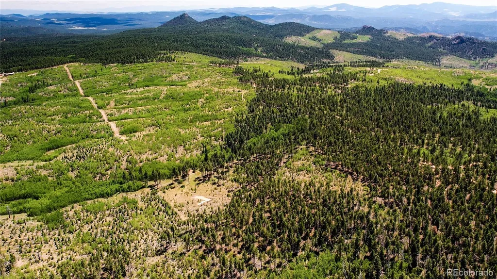 Lot 4 County Road 51 Florissant CO 80816