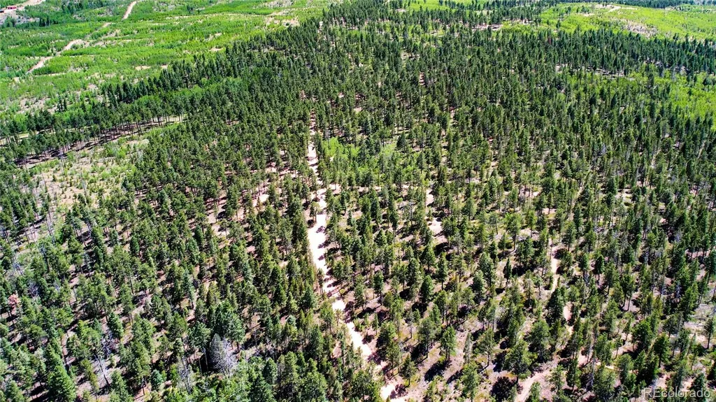 Lot 4 County Road 51 Florissant CO 80816