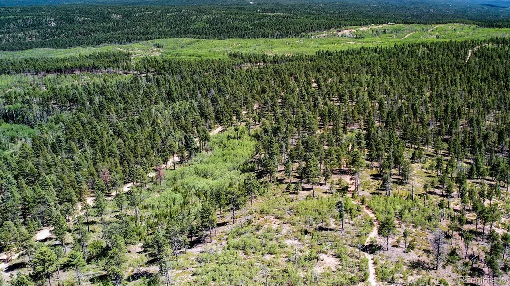 Lot 4 County Road 51 Florissant CO 80816