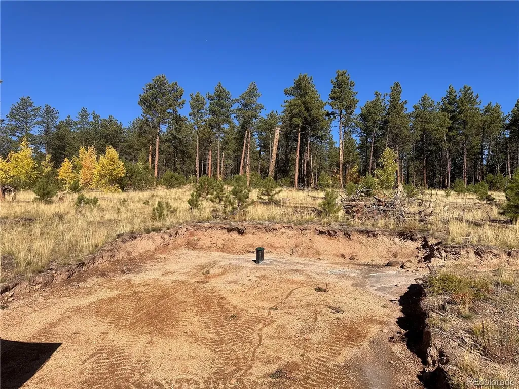 Lot 4 County Road 51 Florissant CO 80816