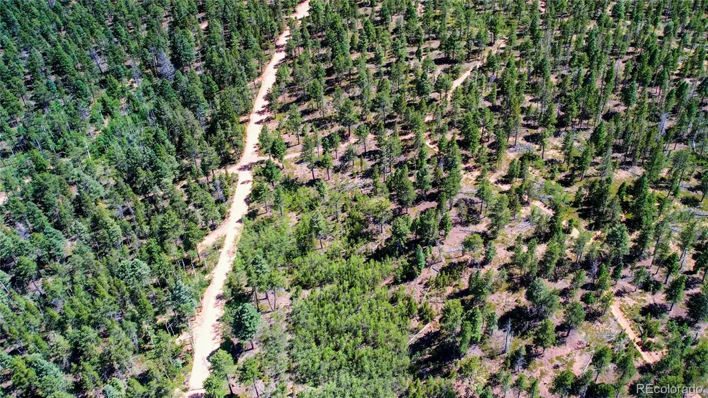 Lot 4 County Road 51 Florissant CO 80816