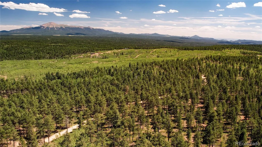 Lot 4 County Road 51 Florissant CO 80816