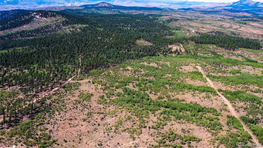 Lot 4 County Road 51 Florissant CO 80816
