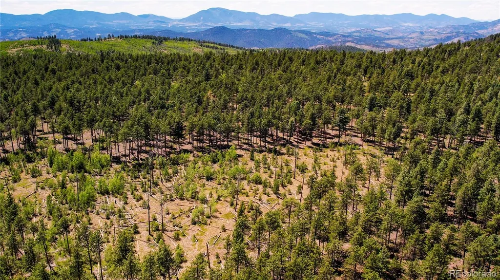 Lot 4 County Road 51 Florissant CO 80816