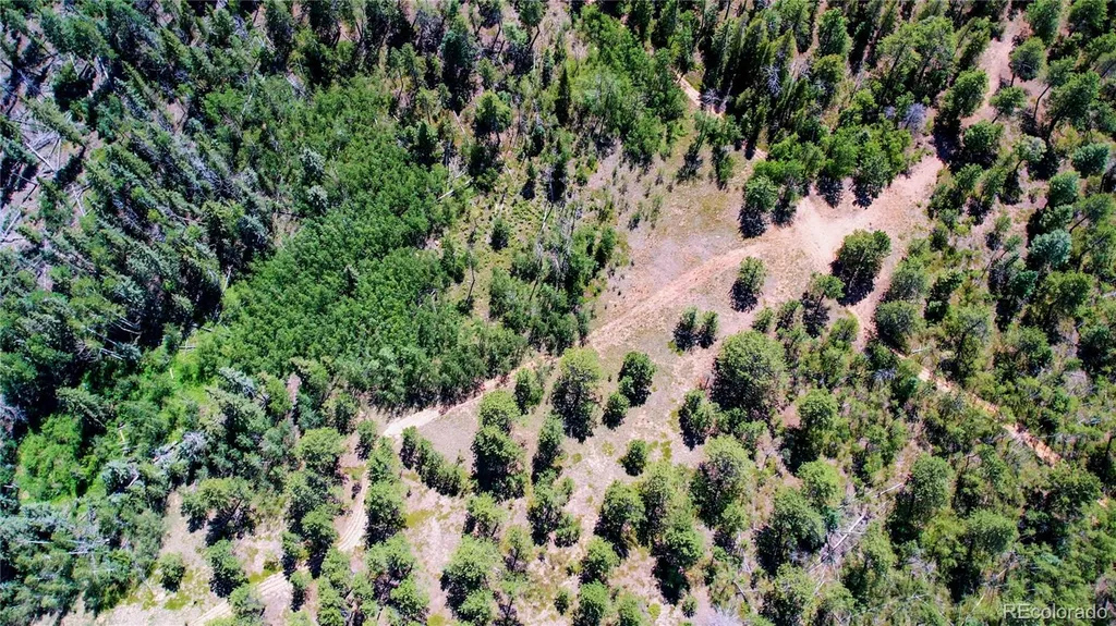 Lot 4 County Road 51 Florissant CO 80816