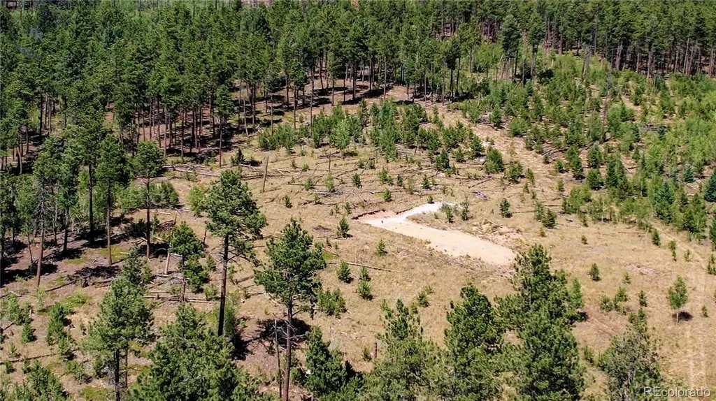 Lot 4 County Road 51 Florissant CO 80816