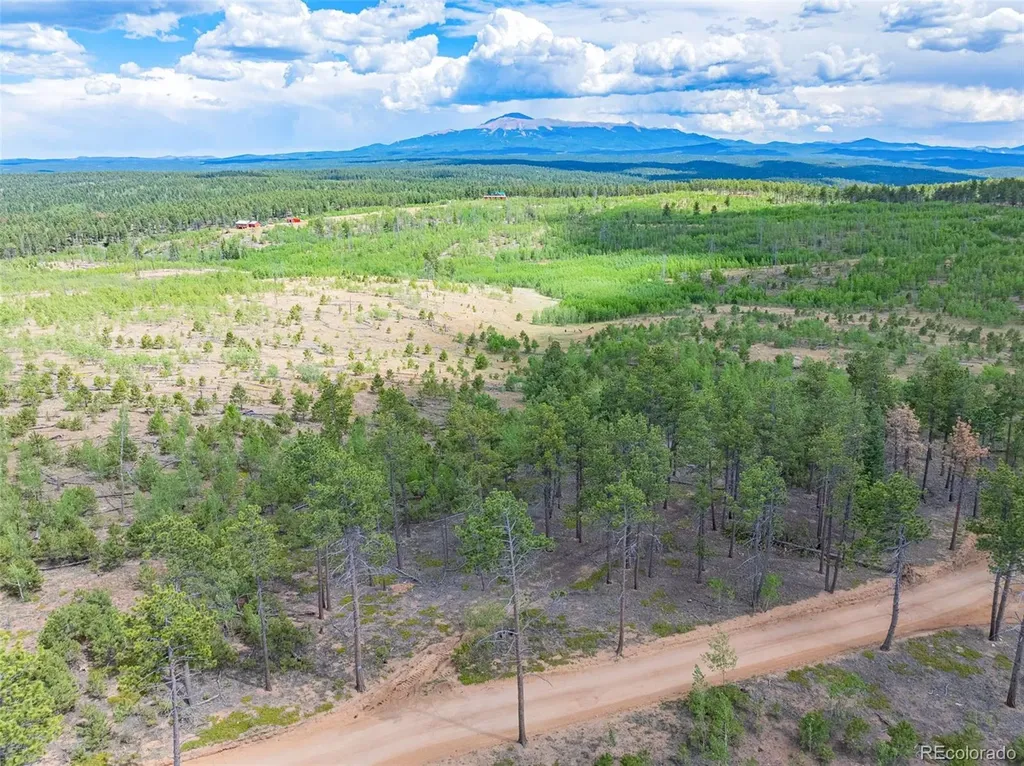 Lot 4 County Road 51 Florissant CO 80816
