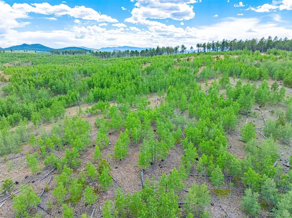Lot 4 County Road 51 Florissant CO 80816