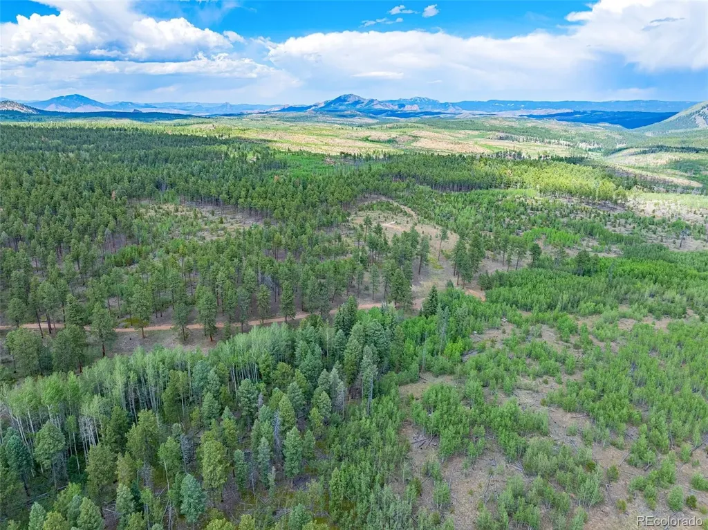 Lot 4 County Road 51 Florissant CO 80816