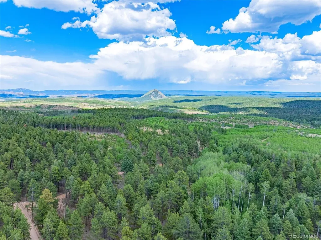 Lot 4 County Road 51 Florissant CO 80816
