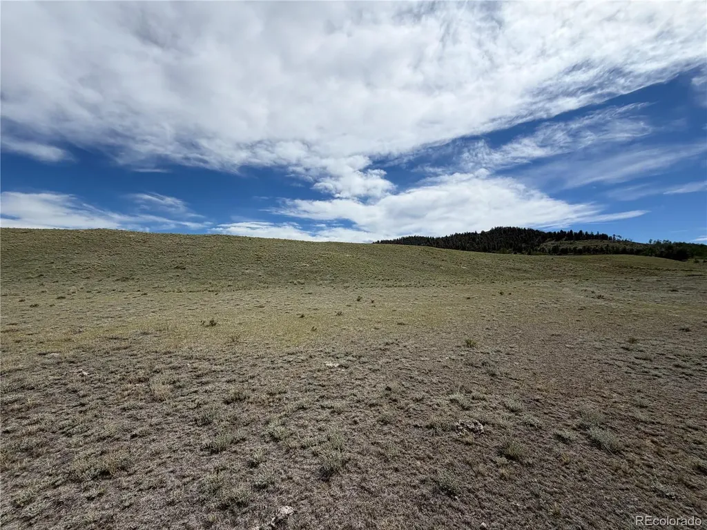 776 Commanche Trail Hartsel CO 80449