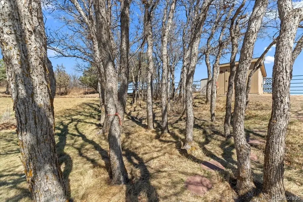 847 Coronado Drive Sedalia CO 80135