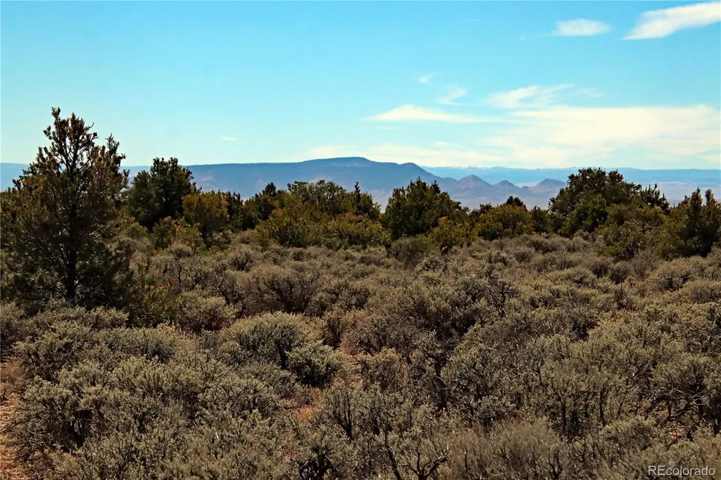 11522 Straighta Way San Luis CO 81152