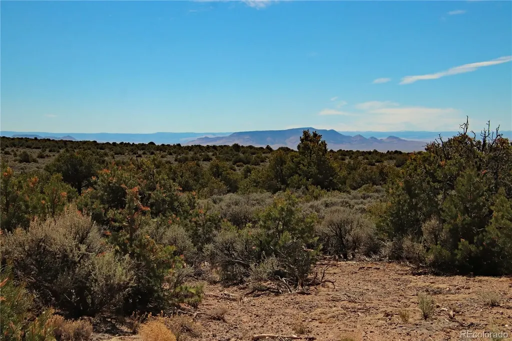 11522 Straighta Way San Luis CO 81152