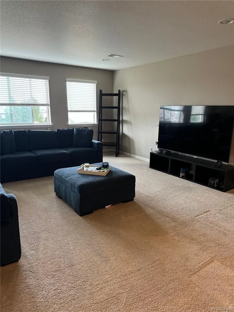 10522 Sierra Ridge Drive Parker CO 80134