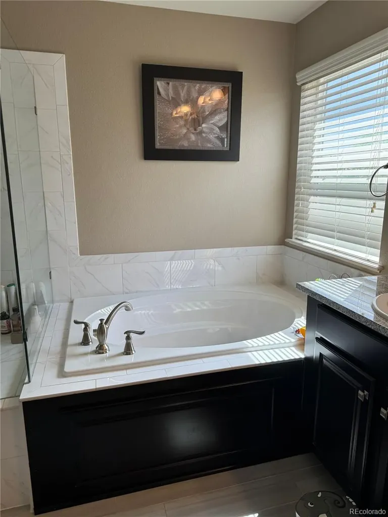 10522 Sierra Ridge Drive Parker CO 80134