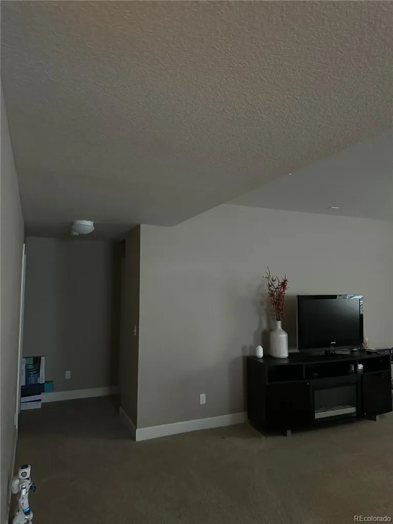 10522 Sierra Ridge Drive Parker CO 80134