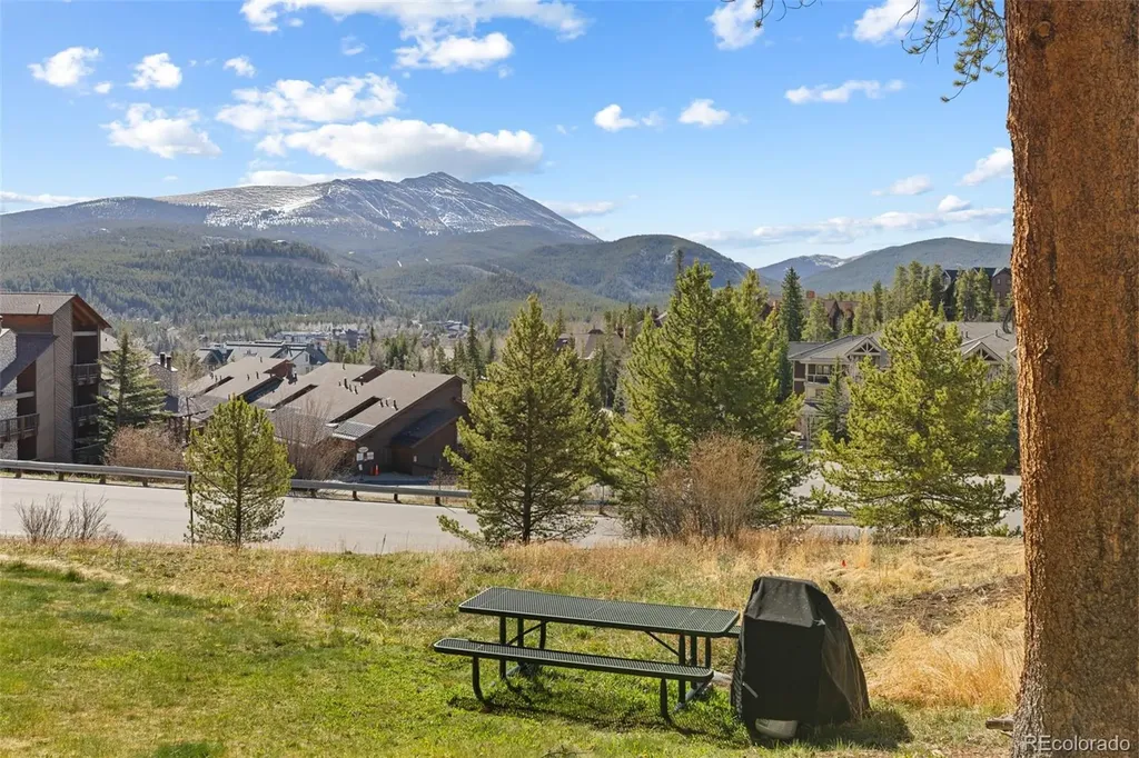 875 Four O Clock Road Breckenridge CO 80424