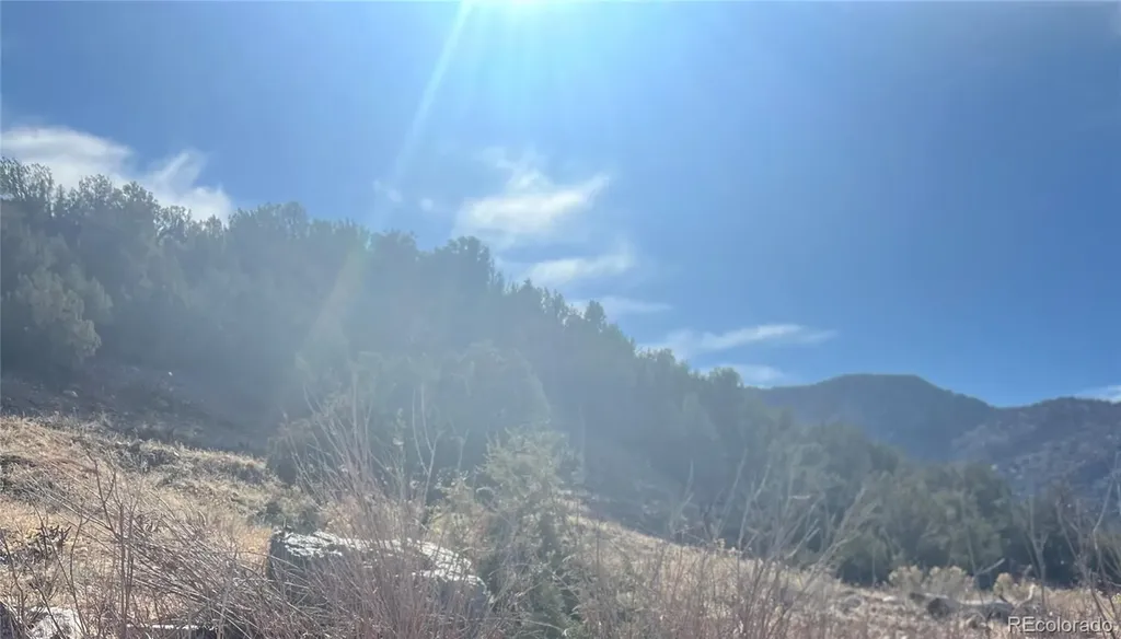 Lot 10 Rice Mountain Way Canon City CO 81215