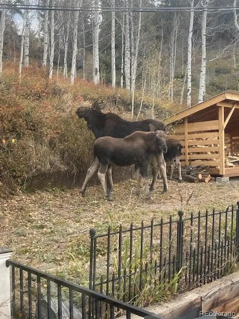 1170 Apex Valley Road Black Hawk CO 80422