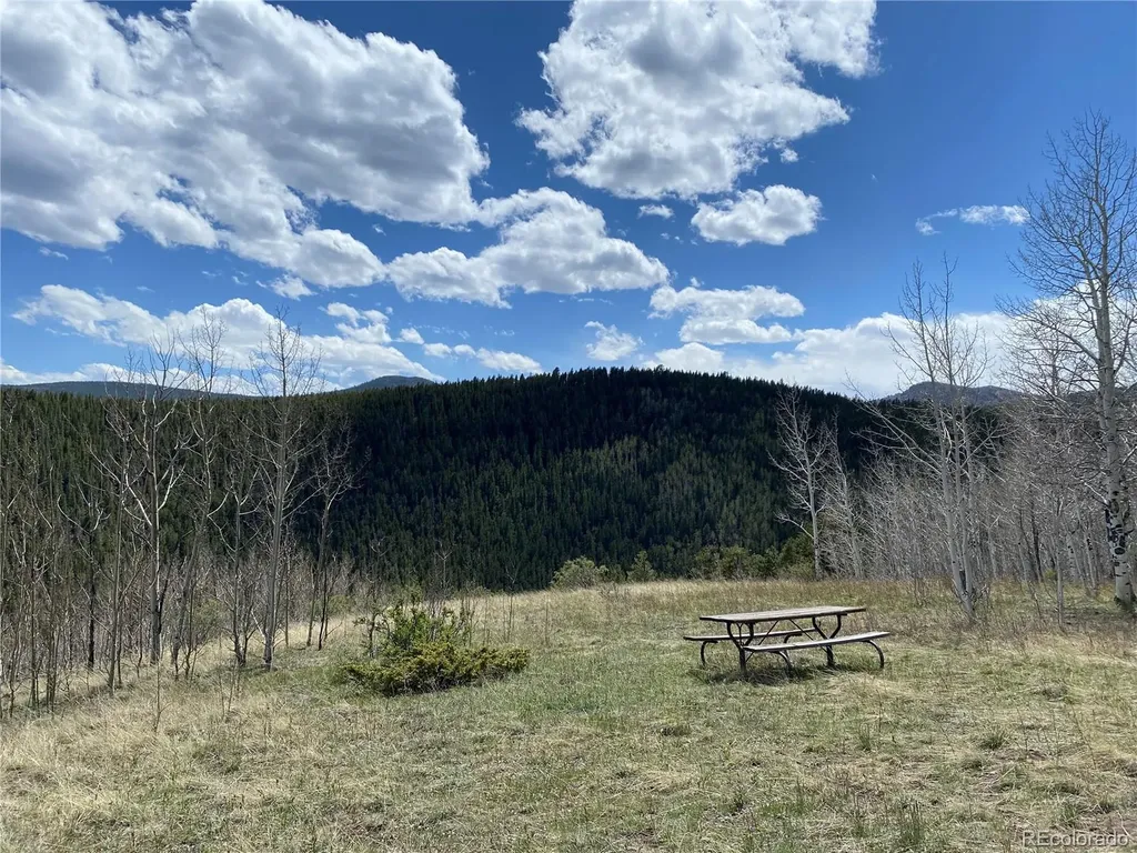 1170 Apex Valley Road Black Hawk CO 80422