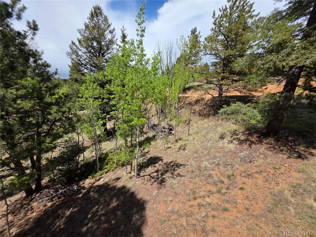 17 Deer Lake Circle Divide CO 80814