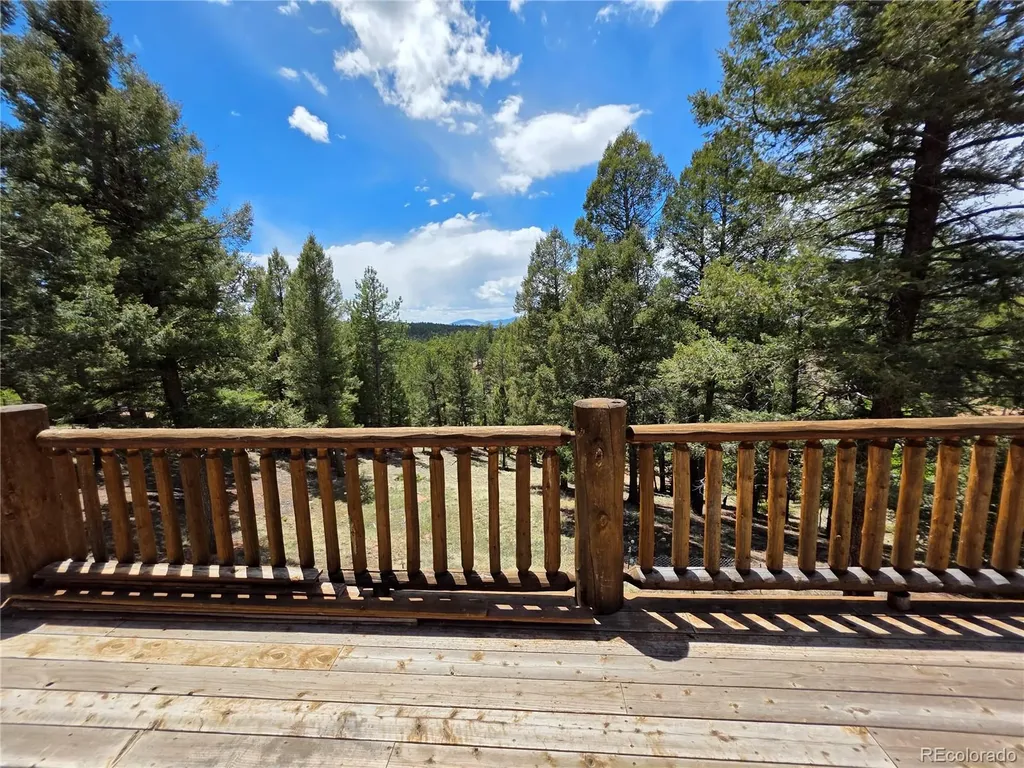 17 Deer Lake Circle Divide CO 80814