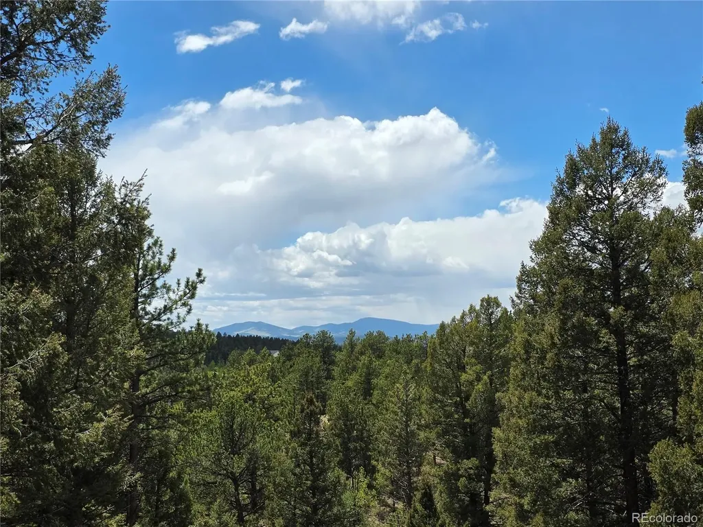 17 Deer Lake Circle Divide CO 80814