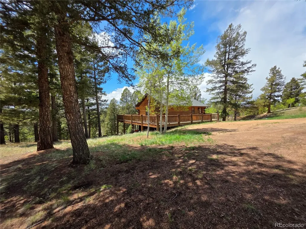 17 Deer Lake Circle Divide CO 80814