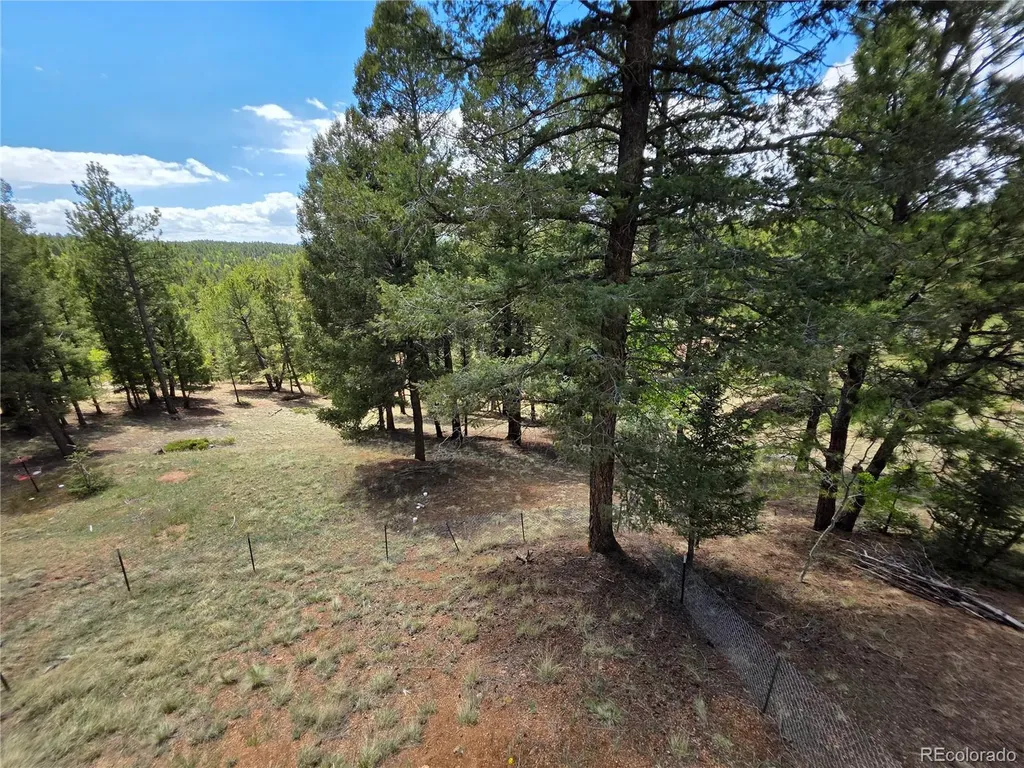 17 Deer Lake Circle Divide CO 80814