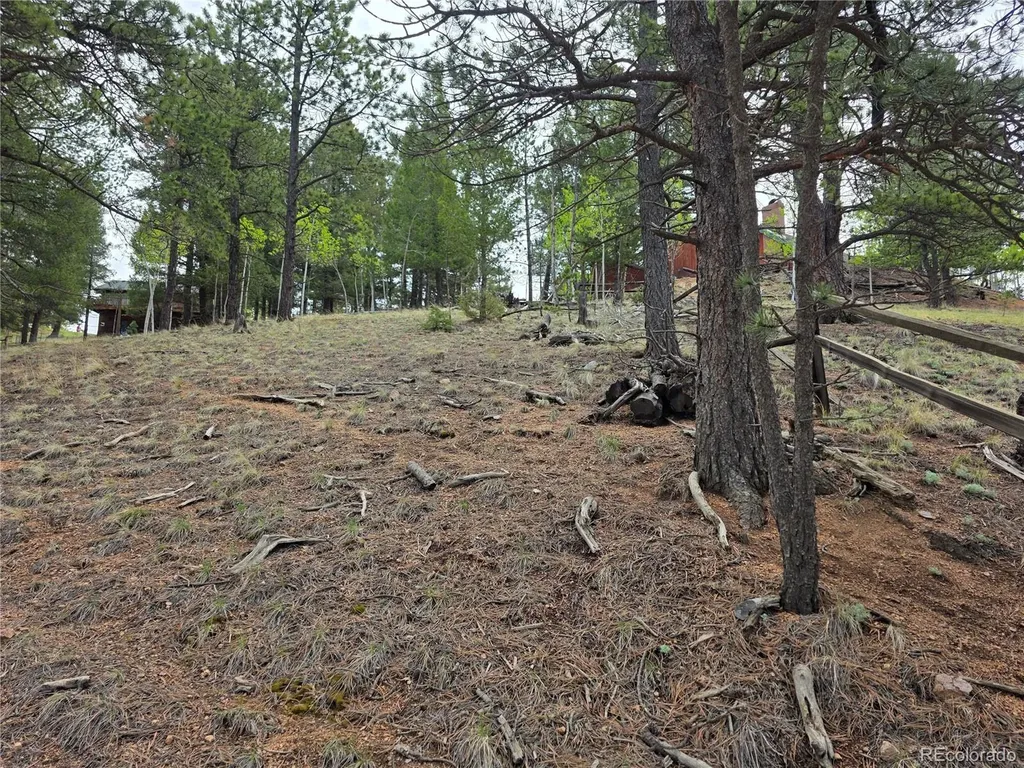 17 Deer Lake Circle Divide CO 80814