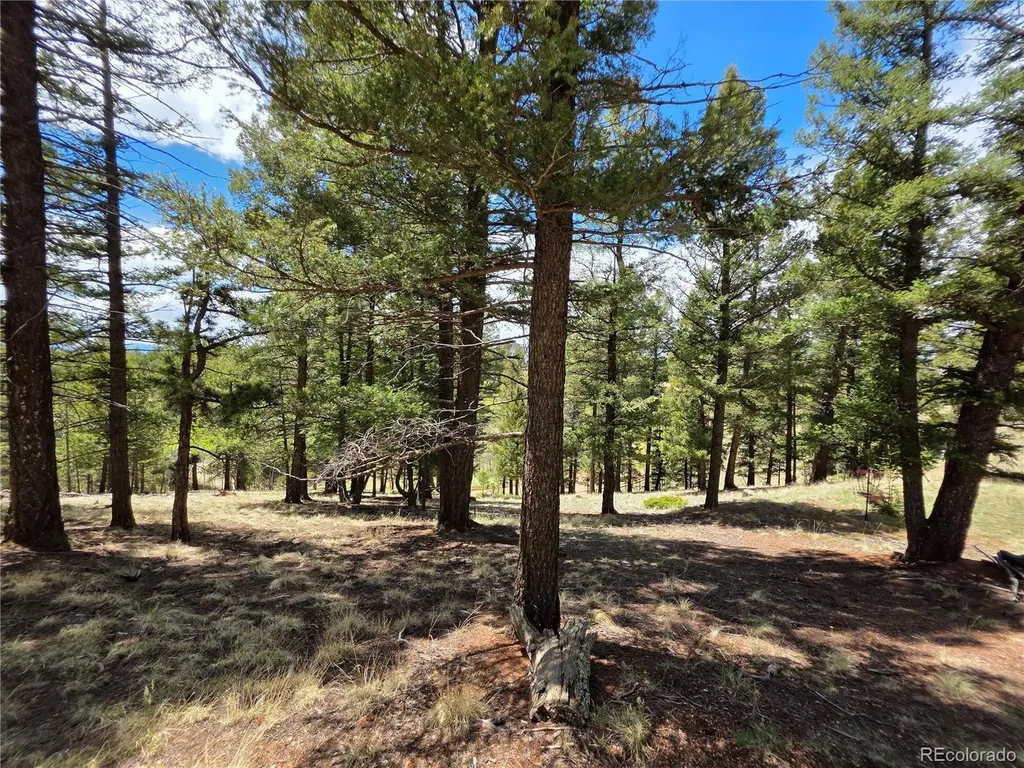 17 Deer Lake Circle Divide CO 80814